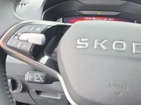 Skoda Karoq - Vorschau Bild 17