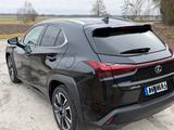Lexus UX 250h Style Edition Style Edition - Lexus UX aus 2022