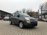 Fiat New Panda 1.0 Hybrid *5 Sitzer Klima Komfort* - Fiat New Panda Tageszulassungen