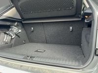 Skoda Kamiq - Vorschau Bild 7