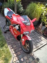 Ducati Biposto  996 - DUCATI 996 BIPOSTO