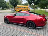 Ford Mustang 2.3 EcoBoost Fastback  - Ford Mustang: For