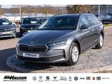 Skoda Octavia Combi Selection 1.5 TSI mHEV DSG MODELL  - Skoda Octavia: Modell