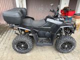 Dinli Centhor 800 EFI mit Kettenraupen-Satz  - QUAD 80