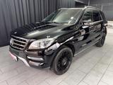 Mercedes-Benz ML 400|LEDER|NAVI|SCHIEBEDACH|MASSAGE|360 KAMERA - Mercedes-Benz ML 400 Gebrauchtwagen