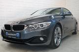 BMW 420i Coupe Sport Line Xenon Navi Vollleder PDC - BMW mit Benzin-Antrieb: Coupé, Grau, Metallic