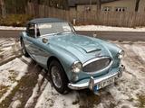 Austin Healey 3000 BJ8 MK III 1965 - Austin Healey: Bj8