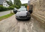 BMW E39 530d Touring  Projekt/Teilespende... - BMW 530 aus 2001: 530d