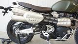 Triumph 1200 X Scrambler *Tempomat* - TRIUMPH SCRAMBLER