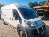 Fiat fiat ducato maxi lang und hoch - Fiat Ducato: Lang