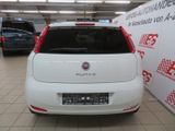 Fiat Punto 1,2 MYSTYLE*KLIMA*NSW*ZV mit FB* - Fiat Punto: Mystyle