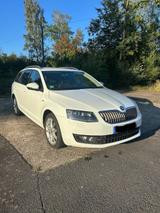 Skoda Oktavia 7 2.0 TDI Joy - Skoda mit Diesel-Antrieb: Oktavia