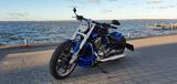 Harley-Davidson V Rod Muscle VRSCF 08/2015 Custom - Offers matching your search criteria