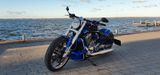 Harley-Davidson V Rod Muscle VRSCF 08/2015 Custom - Angebote entsprechen deinen Suchkriterien