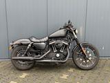 Harley-Davidson Sportster XL 883 Iron - HARLEY-DAVIDSON 883 SPORTSTER XL IRON
