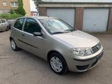 Fiat Punto 1.2 8V Active*WENIG KM*TÜV NEU* - Fiat Punto in Mönchengladbach
