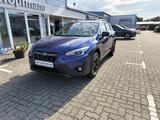 Subaru XV 1.6i Exclusive CVT - Subaru Gebrauchtwagen in Rostock