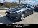 BMW 218i Coupe Vollleder KM107000 - BMW: Coupé, V