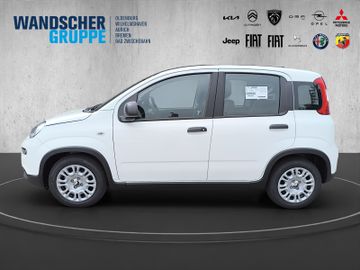 Fiat Panda 1.0 Mild Hybrid MY24 PDC TEMPOMAT SPURHALT