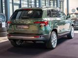 Skoda Karoq 2.0 TDI Style 4x4 emerald grün AHK ACC LED - Skoda Autos von Händlern
