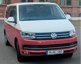 Volkswagen T6 MV "70 Jahre Bulli" | DSG*ACC*AHK*STDHZ - Bulli gebraucht