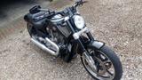 Harley-Davidson V rod  Muscle  5HD  V-rod - Offers matching your search criteria