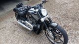Harley-Davidson V rod  Muscle  5HD  V-rod - Offers matching your search criteria