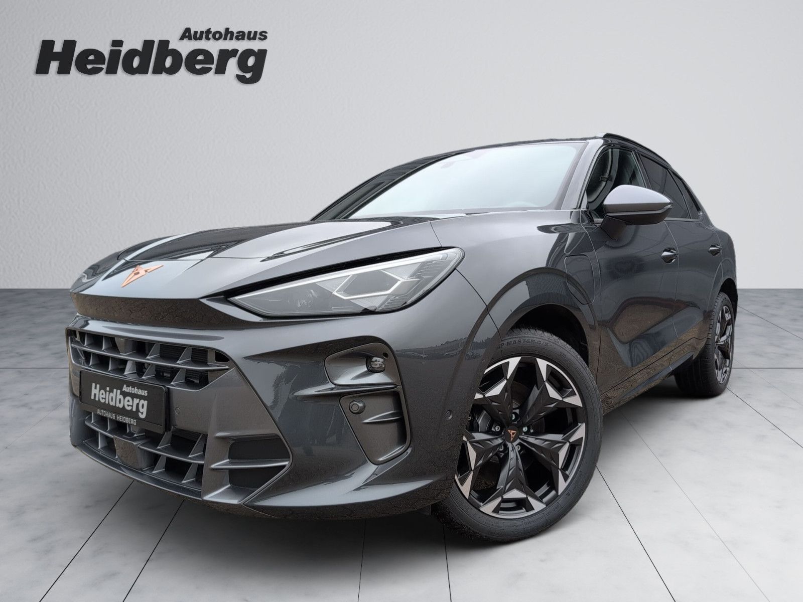 Cupra Terramar eTSI VZ Plug in Matrix HuD AHK-schw 19"