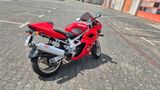 Suzuki Tl1000s  - Offers matching your search criteria