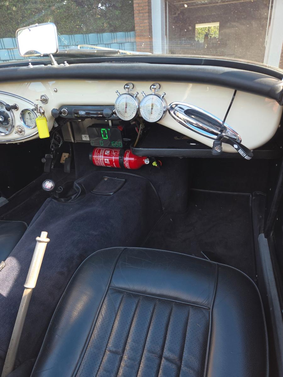 Austin Healey Andere