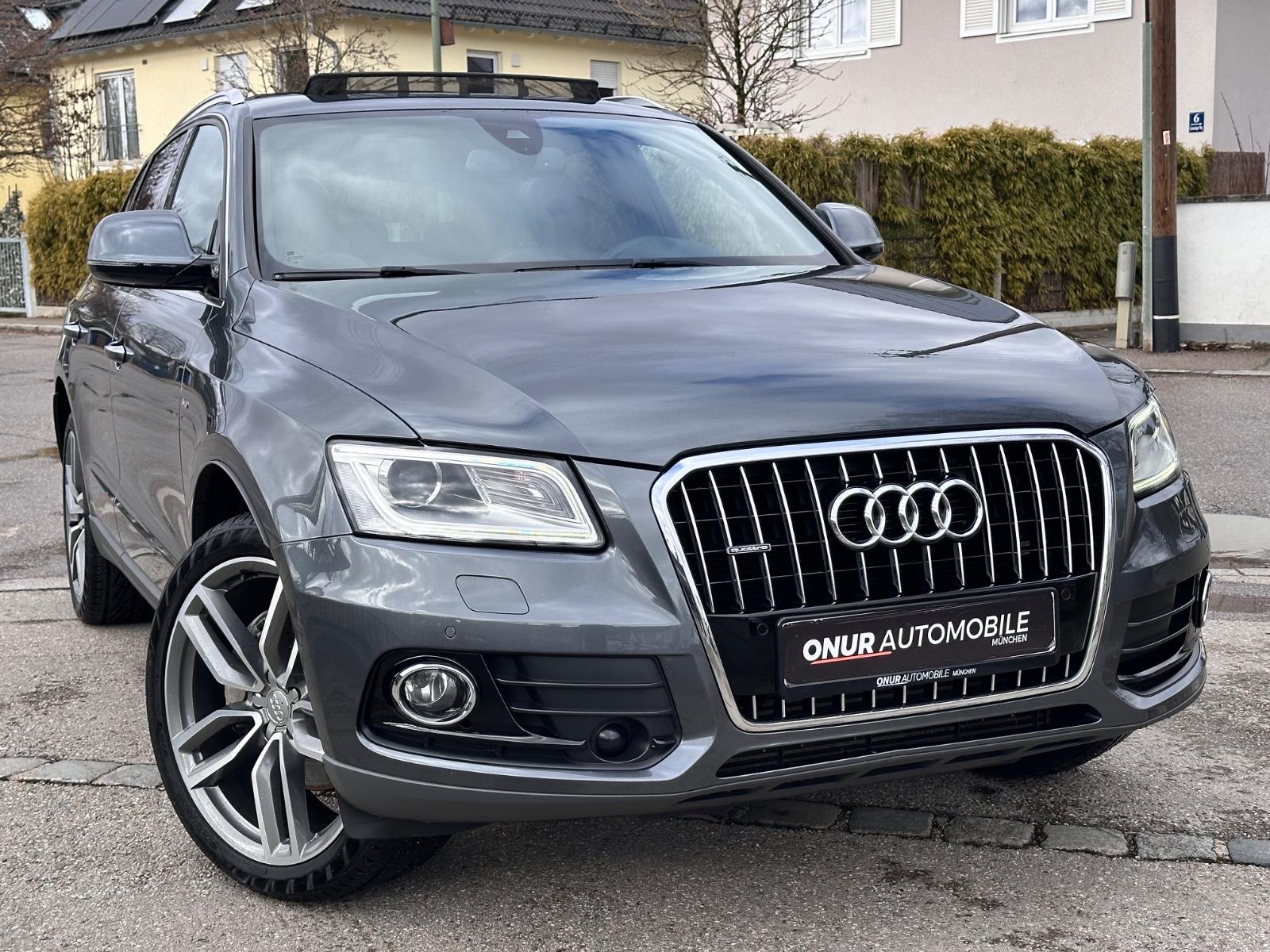 Audi Q5 3.0 TDI quattro S-Line Navi Leder Pano AHK 21