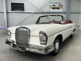 Mercedes-Benz 300 SE Cabriolet prominenter Vorbesitz - Mercedes-Benz 300: Cabrio, Se