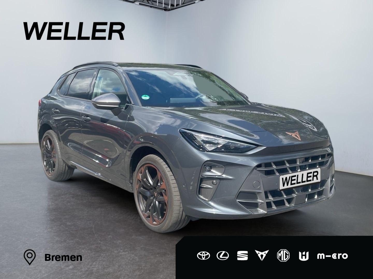 Cupra Terramar - Bild 3