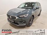 Seat Tarraco 2.0 TDI DSG Xcellence 4Drive Standhzg.|A - Seat Tarraco in Dresden
