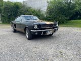 Ford Mustang Fastback GT350H Tribute Schalter - Ford Mustang: 350gt
