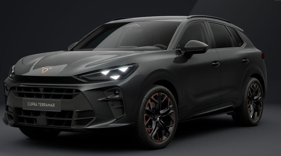 Image of Cupra Terramar