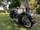 Harley-Davidson Softail Deluxe FLSTN 103 - Motorräder in Münster