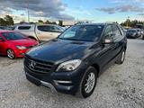 Mercedes-Benz ML 250 CDI BlueTec Leder Navi Pano ALU AHK EURO6 - Mercedes-Benz ML 250 in München