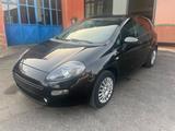 Fiat Punto 1.2 8V 5 Porte Young-soloKm 35000- - Fiat Punto YOUNG mit Benzin-Antrieb