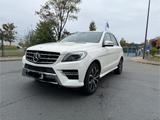 Mercedes-Benz ML 350 BlueTEC 4MATIC -|Standheizung|Memory|ETC.