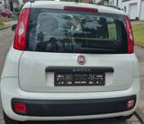 Fiat Panda mit gasanlage - : mit Gasanlage