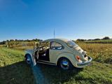 Volkswagen Käfer 1302 - Volkswagen Käfer: 1302