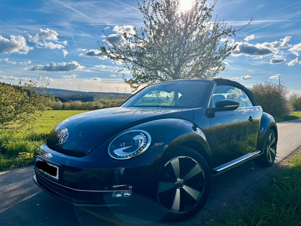 Image of Volkswagen Beetle