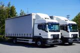 MAN Man TGM 15.290 Curtainsider / Glob / Manual - MAN Gl