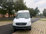 Mercedes-Benz Mercedes Sprinter 313 Bj 11 2012 - Mercedes-Benz Sprinter in Osnabrück