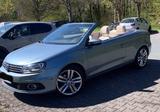 Volkswagen Eos 2.0 TDI Cup BlueMotion Technology Cup mit Sg - Volkswagen Eos Cup-BlueMotion-Technology