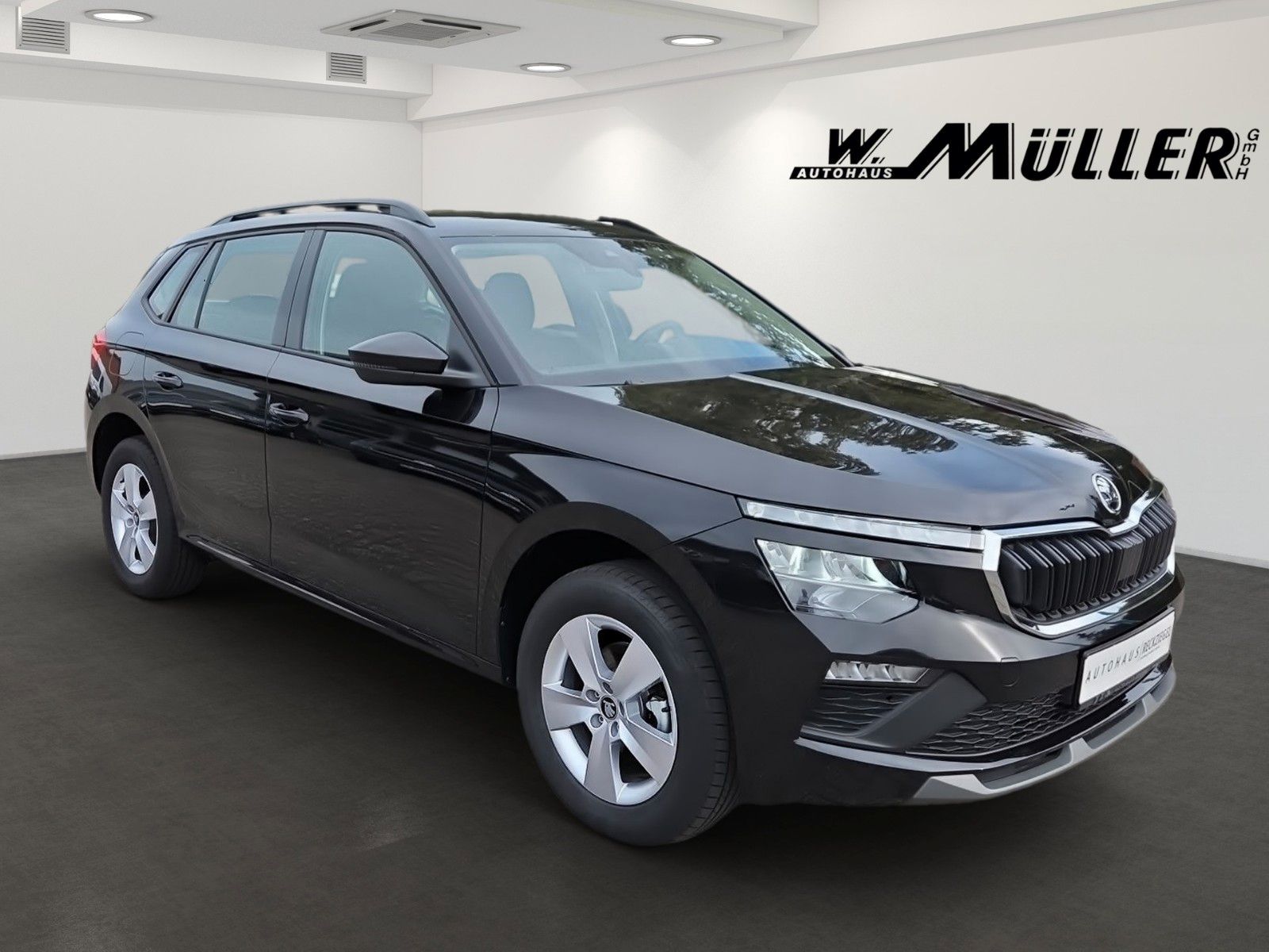 Fahrzeugabbildung SKODA Kamiq Selection