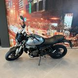 Andere Voge Trofeo 300 AC Scrambler - BENZIN SCRAMBLER
