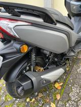 Daelim XQ250 - ROLLER 250