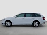 Skoda Octavia Combi L&K 4x4+CANTON+ACC+LED - Skoda Octavia: Combi L K
